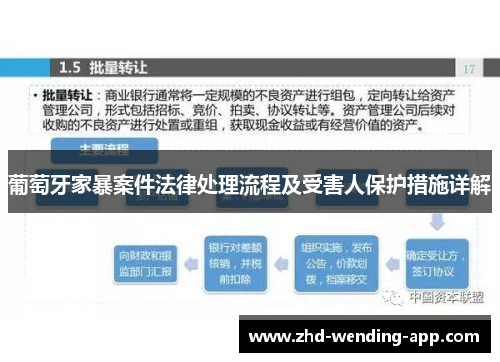 葡萄牙家暴案件法律处理流程及受害人保护措施详解
