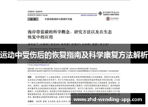 运动中受伤后的恢复指南及科学康复方法解析