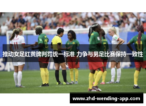 推动女足红黄牌判罚统一标准 力争与男足比赛保持一致性