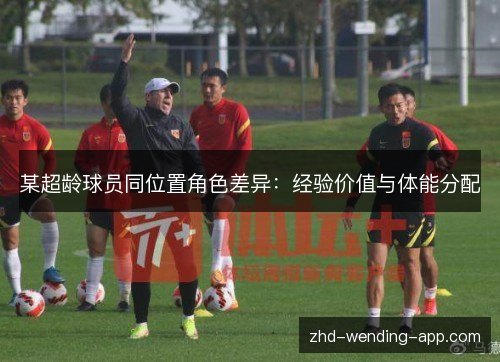 某超龄球员同位置角色差异:经验价值与体能分配 某超龄球员同位置角色差异:经验价值与体能分配